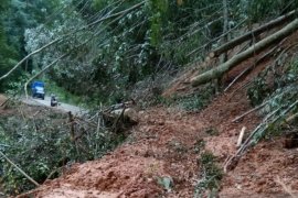 Longsor tebing gunung lumpuhkan jalan lintas Aceh Barat-Pidie