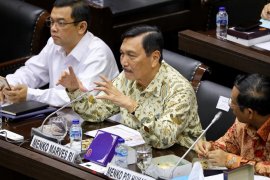 Menko Luhut : Pembangunan Ibu Kota baru dimulai 2021