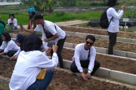 Swasta bersama LSM The Learning Farm Cianjur telah cetak ribuan  petani muda