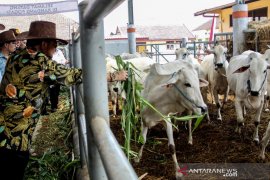 Kementan mendorong koperasi di Subang jadi percontohan korporasi peternak