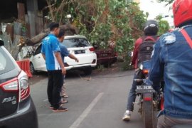 BPBD Kota Kediri imbau warga pangkas ranting pohon