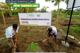 PT Cahaya Riau berdayakan petani madu melalui zakat yang dikelola ACT