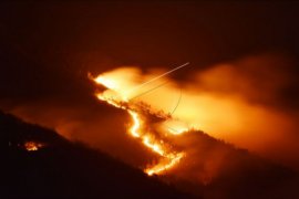 Gunung Lawu terbakar