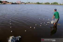 Menangkap ikan di waduk Page 2 Small