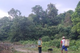 WNI di perbatasan miliki KTP Malaysia karena kebutuhan ekonomi