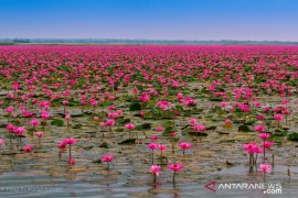 Warga Kota Banjarmasin membentuk komunitas teratai