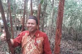 Warga Desa Namang bangun kawasan wisata Jembatan Pengantin