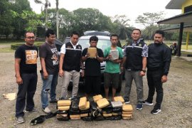 Dua warga Jawa Barat bawa 58 kg ganja ditangkap Polres Langkat