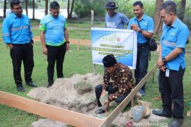 Mifa Bersaudara bangun sarana pendukung konservasi penyu di Barsela