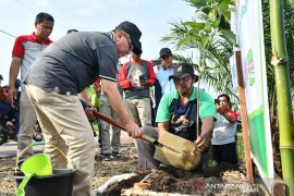 Pemkab HSS tanam 10 ribu bibit pohon di area rawan longsor Loksado