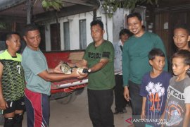 BKSDA Kalteng luncurkan informasi satwa dilindungi "Sidin Wali"