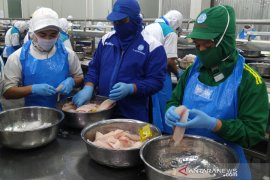 Aturan investasi ramah, Aquafarm Nusantara tingkatkan ekspor tilapia