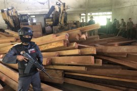 KLHK amankan ribuan kubik kayu ilegal Rp6 miliar