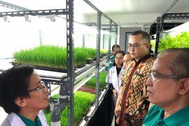 IPB kembangkan cara tanam berbasis teknologi SPARS mini plant factory