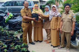 Pemprov Bangka Belitung bagikan bibit cabai tekan inflasi