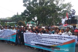 Ratusan warga berunjukrasa tuntut revisi HGU PT SIL