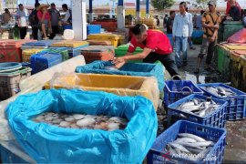 Dinas Perikanan: Ikan di Aceh Timur aman dikonsumsi