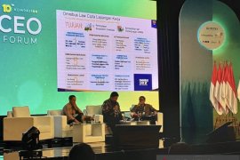 Menko Airlangga nilai program "Quick Wins" kuatkan pondasi ekonomi RI