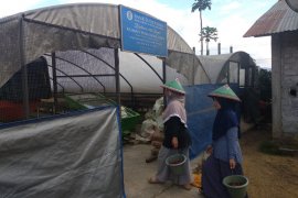 Menduniakan Kopi Kerinci Lewat Pariwisata