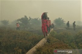 KEBAKARAN GAMBUT DI KOLAKA TIMUR Page 3 Small