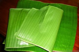 Tanah Bumbu prohibits use of plastics as food packaging