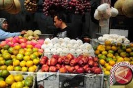 Harga buah di Medan relatif stabil