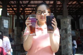Mahasiswa Ubaya buat kreasi produk "mamin" dari bahan tanaman obat