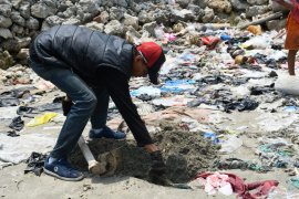 Belasan bangkai kucing ditemukan di pinggir pantai, diduga dibantai orang gangguan jiwa