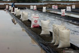 Dugaan korupsi impor garam di Kemenko Perekonomian