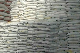 Temanggung tak dapat alokasi pupuk