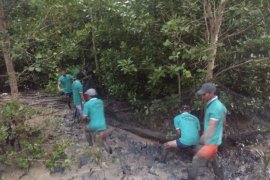 Warga Desa Sungai Duri dilatih budi daya kepiting bakau