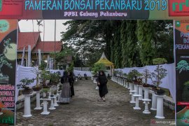 Pengusaha pameran di Riau minta keringanan pajak dampak COVID-19, begini penjelasannya