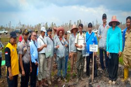 Ahli IPB ambil sampel lahan di  PT TAL dan PT ABS yang terbakar