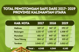 DPKP-TNI/Polri Awasi Pemotongan Sapi Betina