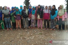 Puluhan buruh Mukomuko minta alat pelindung diri