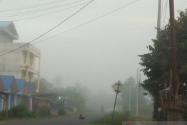 BPBD: Kabut di Mukomuko tidak terjadi akibat kebakaran gambut