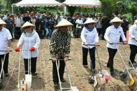 Sulbar miliki lahan kering 623.000 hektare potensial untuk pertanian