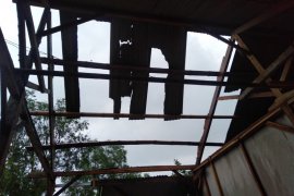 Curah hujan tinggi, BPBD Banjarnegara imbau warga waspadai angin kencang