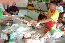 Harga daging ayam beku dan telur ayam di pasar Ambon  naik