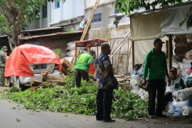 BPBD Kota Kediri hitung kerugian akibat angin kencang