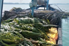 Nelayan Agam diwajibkan pasang rumpon sebelum menangkap ikan, ini tujuannya