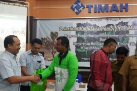 PT Timah latih pemuda Kundur budidaya pembibitan mangrove