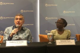 WB estimates$5.2 billion losses from forest, land fires