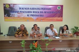 Cegah Flu Babi Afrika, Karantina Denpasar tingkatkan pengawasan