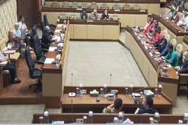 Komisi II DPR RI terima aspirasi pemekaran Papua Selatan