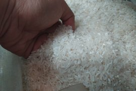Harga beras di Bandarlampung stabil jelang akhir tahun
