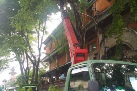 DLHK dan DPUPR Denpasar buat penataan antisipasi musim hujan