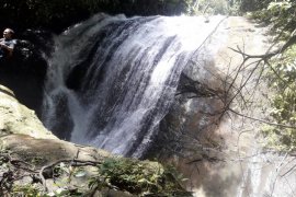 Hutan Wehea miliki potensi objek wisata air terjun Mbang Long Pla