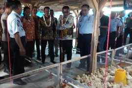 Kemenkumham dirikan tempat pelatihan ternak ayam bagi warga binaan Lapas Garut