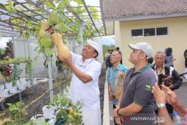 Bupati Bangli dorong milenial kembangkan bisnis hidroponik